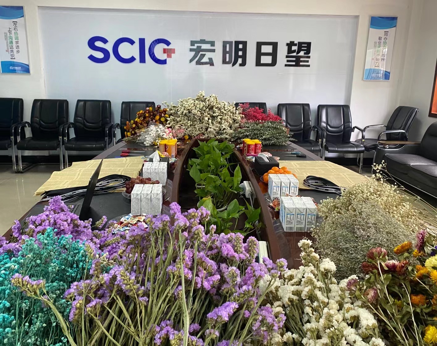 必赢,宏明日望,株洲电子科技,湖南电容器,株洲电容器,电容器