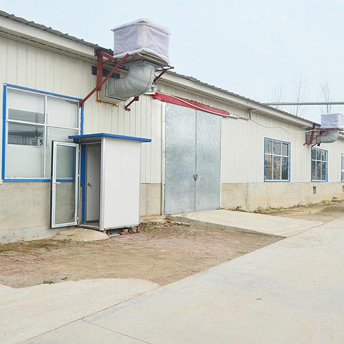 企业风貌